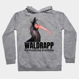 The northern bald ibis, hermit ibis WALDRAPP Hoodie